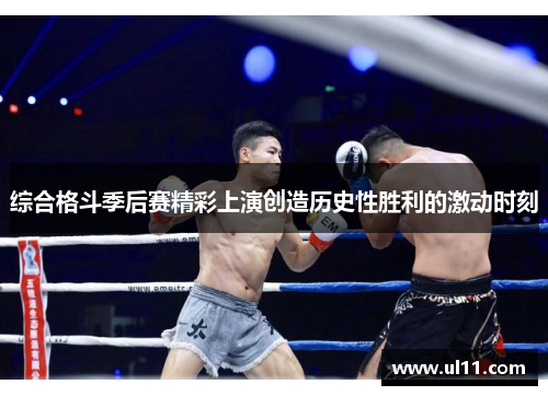 综合格斗季后赛精彩上演创造历史性胜利的激动时刻