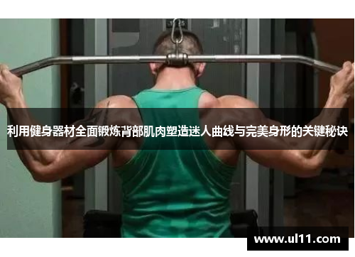 利用健身器材全面锻炼背部肌肉塑造迷人曲线与完美身形的关键秘诀